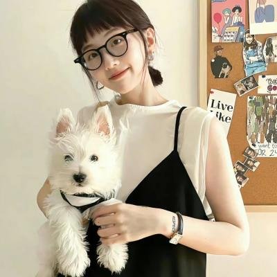 二呆流浪记之完全大人手册